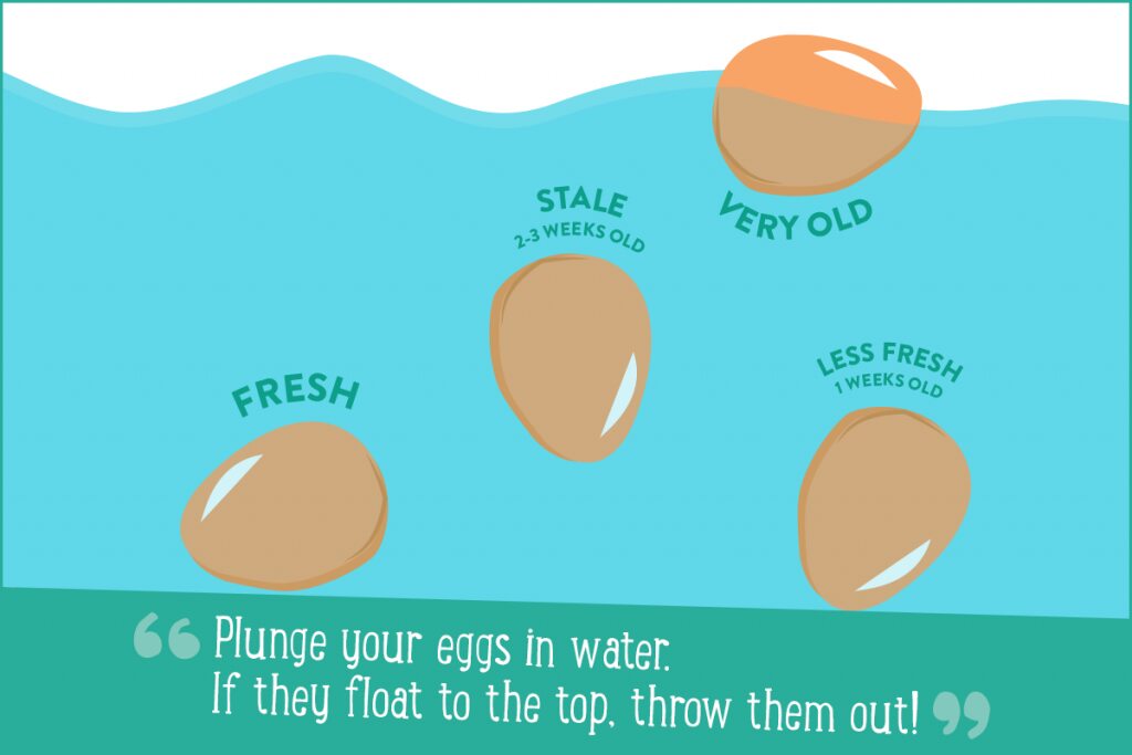 How To See If Your Egg Is Fresh