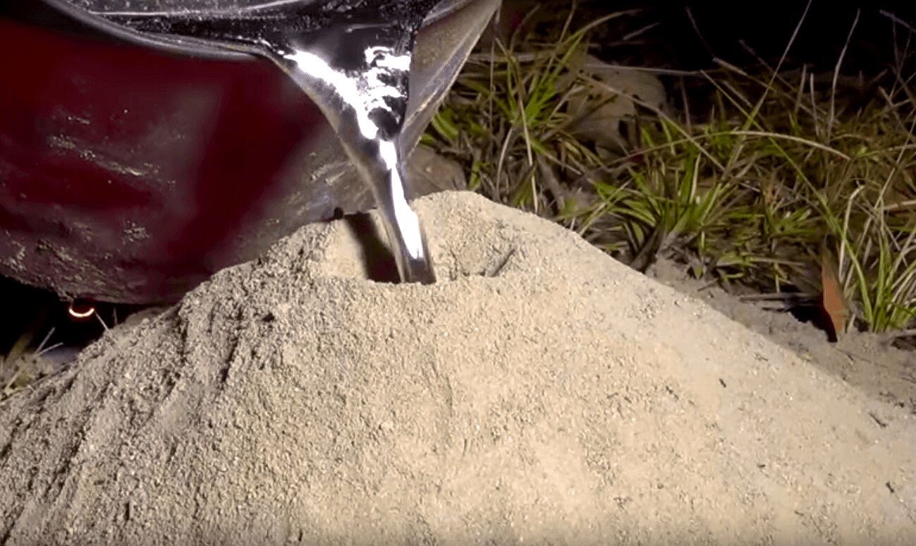 The Incredible Happened When This Man Added Molten Aluminum To An Empty Ants Nest