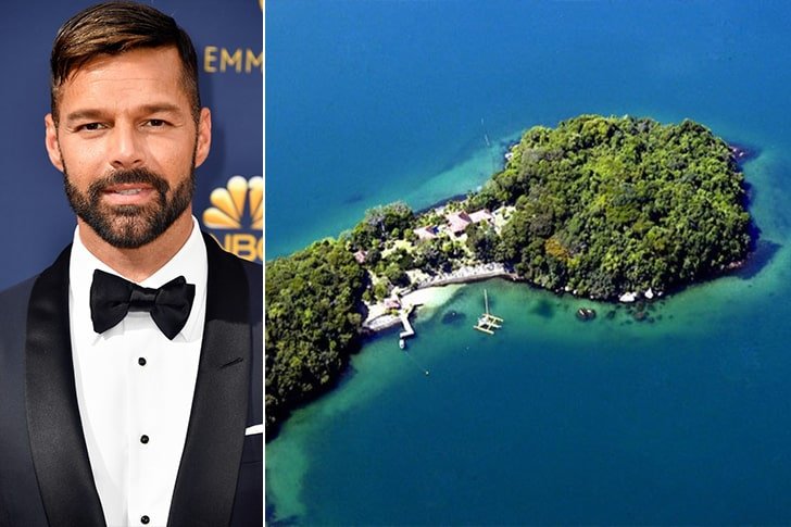 Ricky Martin – Brazil, $8 Million