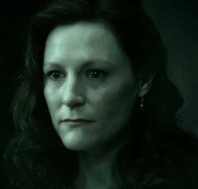 Geraldine Somerville As Lily Potter