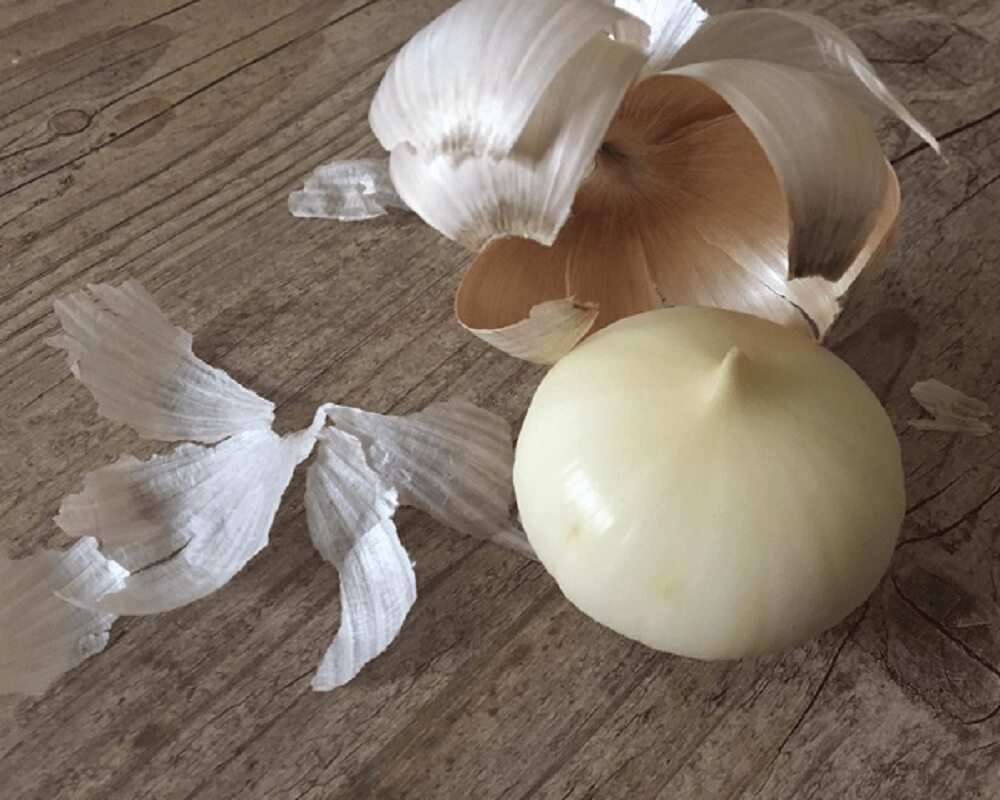 A Solid Bulb Of Garlic