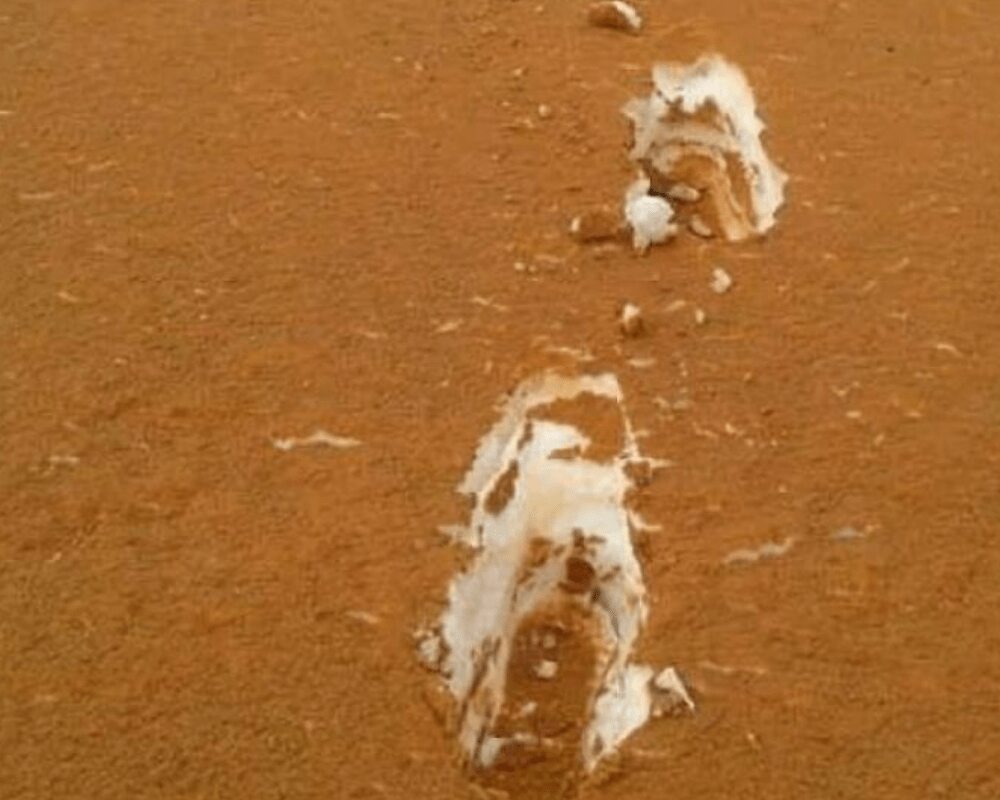 Snow In Desert