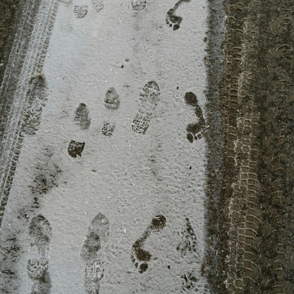 Footprints On The Snow