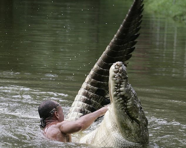 His Pet Crocodile