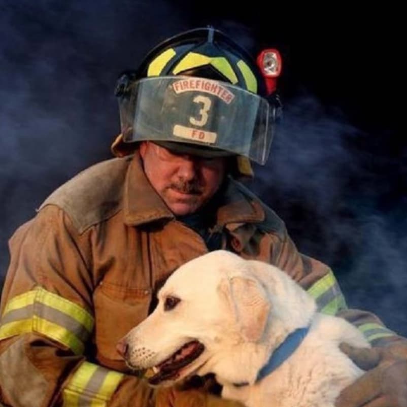 アメリカの消防士に救助された子犬８匹 その子犬たちには実は大きな秘密がありました その秘密は何だったのでしょう Doithouses