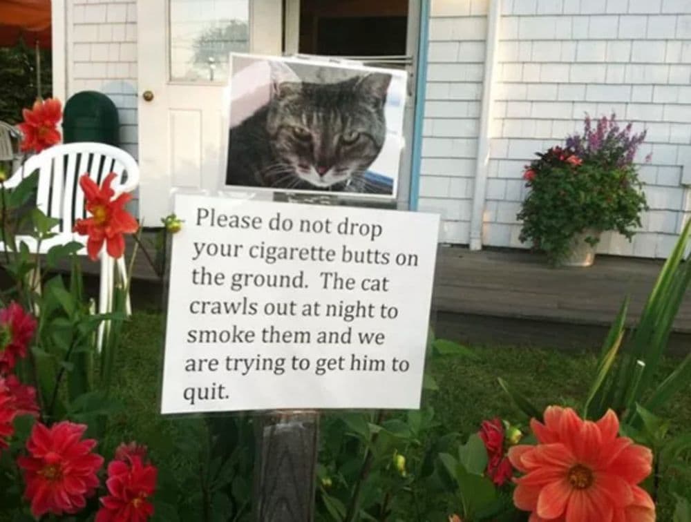 The Most Hilarious Yard Signs Online Is Here