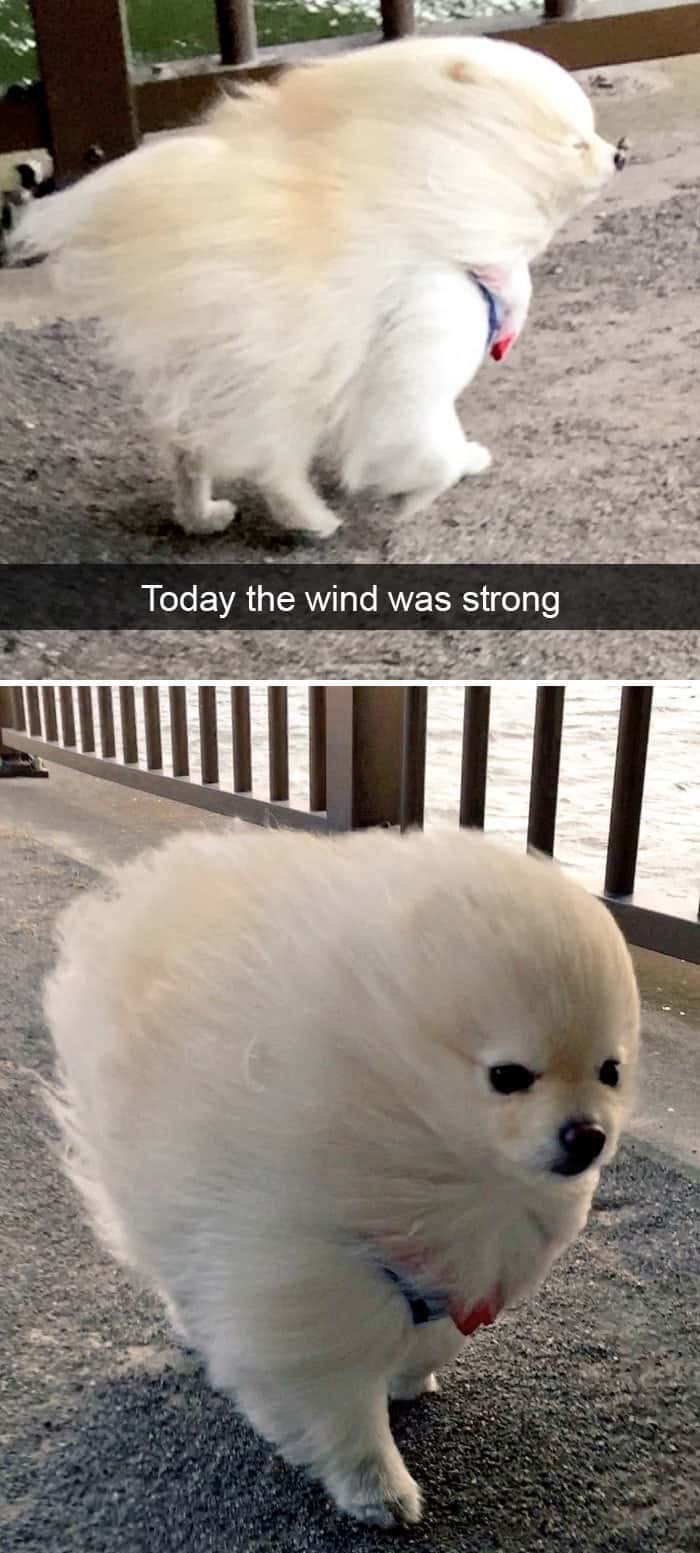 Just A Little Wind