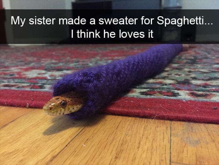 Sweater For Snakes