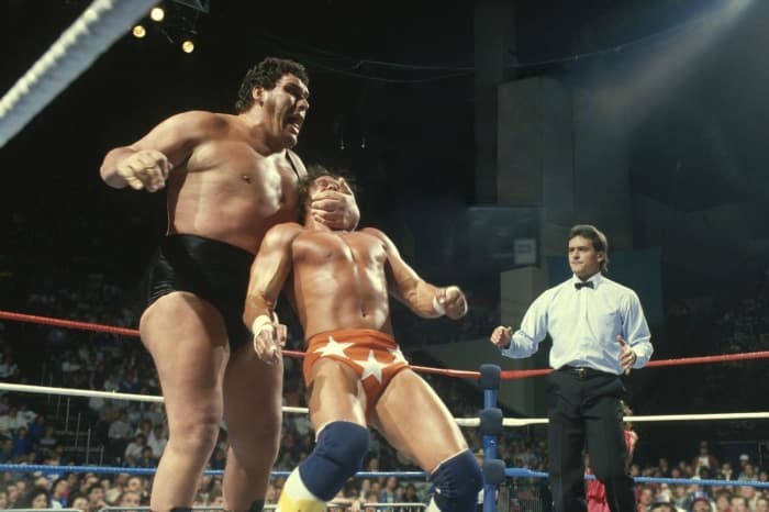 Andre The Giant