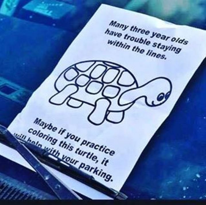 Color The Turtle