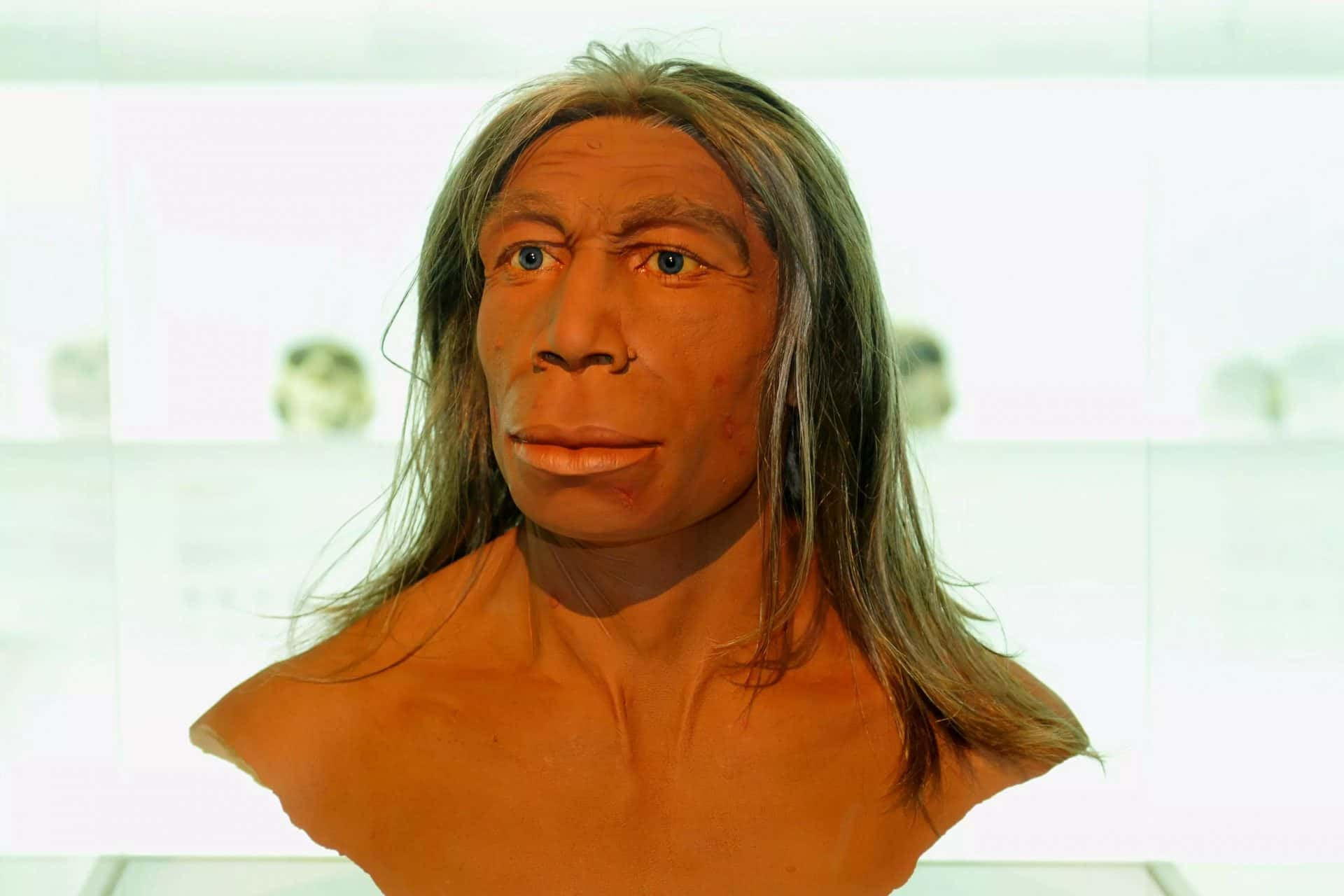 Homo Heidelbergensis