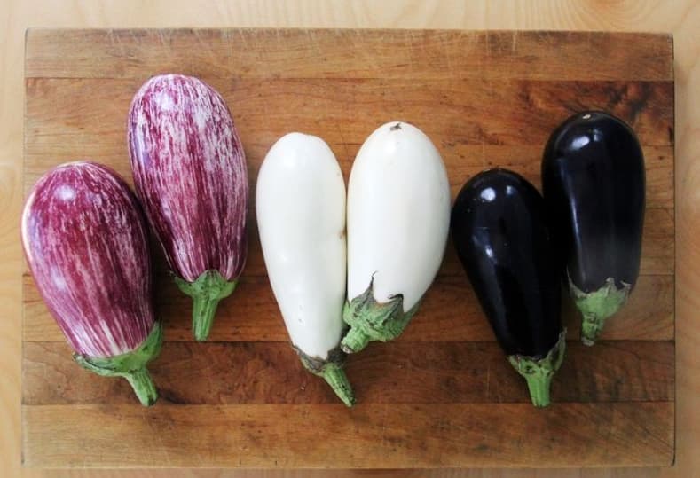 Aubergine