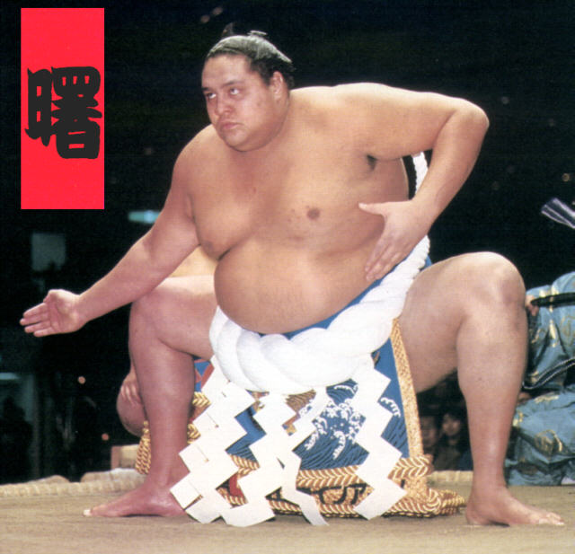 Musashimaru Koyo Sumo Wrestler