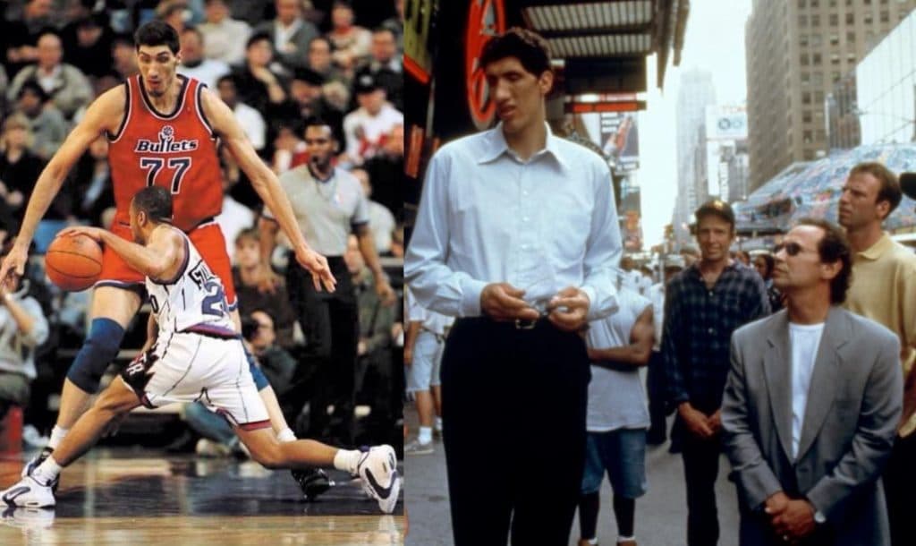 Gheorghe Muresan NBA 