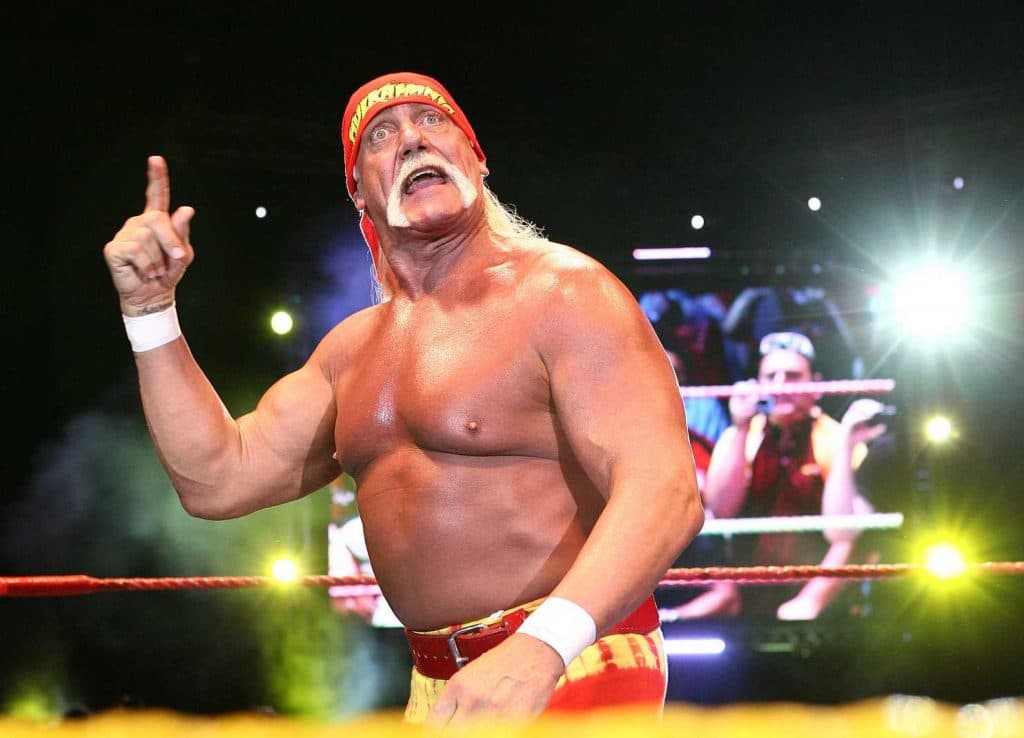 Hulk Hogan WWE