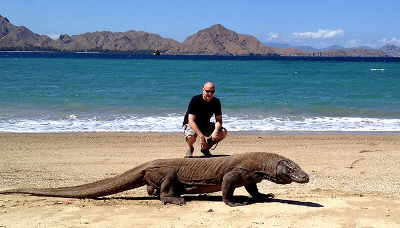 The Komodo Dragon Is The Closest Thing We Have To Dinosaurs