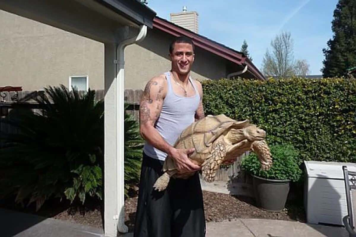 Colin Kapernick And His Giant Pet Tortoise