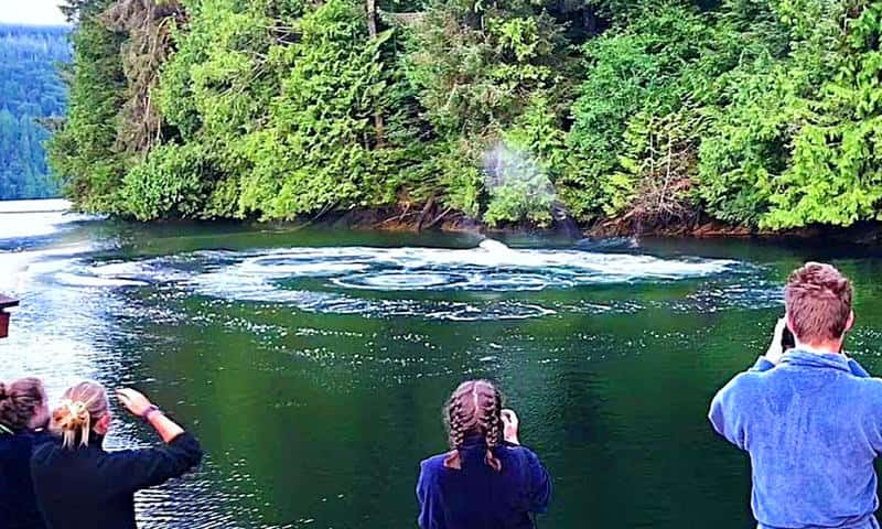 Friends Were Enjoying A Weekend At The Lake When The Water Suddenly