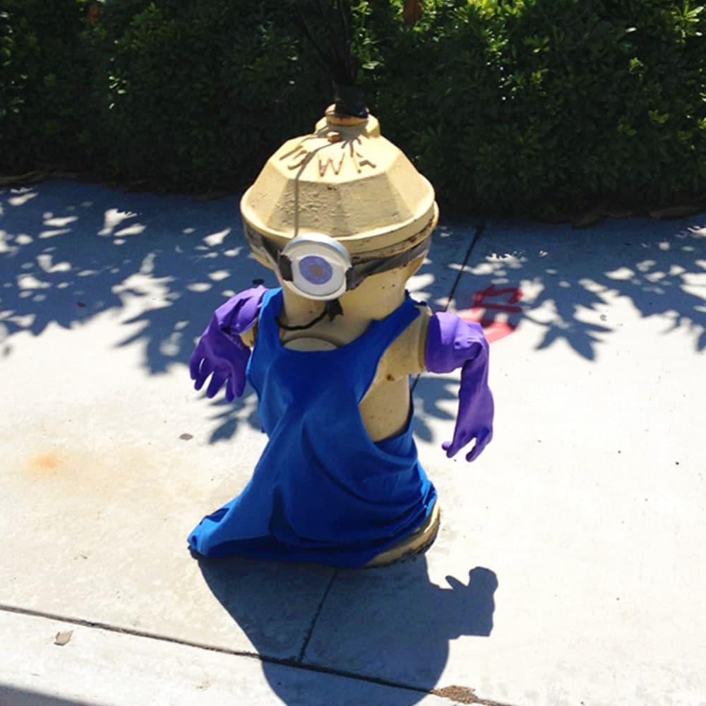 From Fire Hydrant To Minion