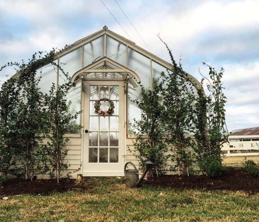 The Greenhouse On The Property