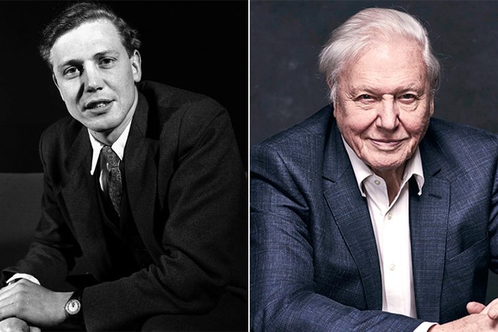 David Attenborough – Age 94