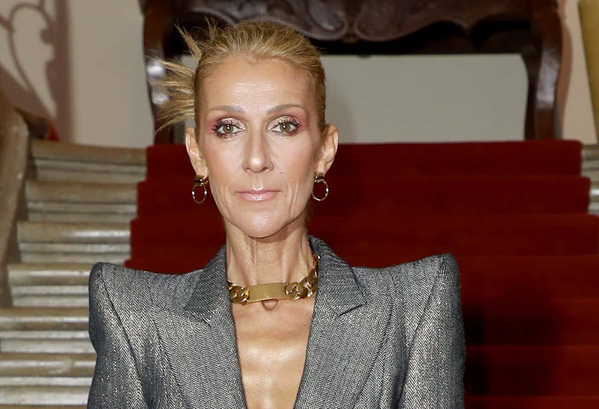 The Truth About Celine Dion's Surprising Weight Loss | ArticlesVally