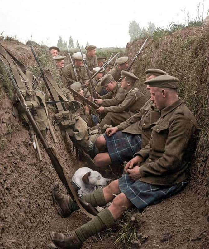 The Seaforth Highlanders With A Dog In Their French Trench