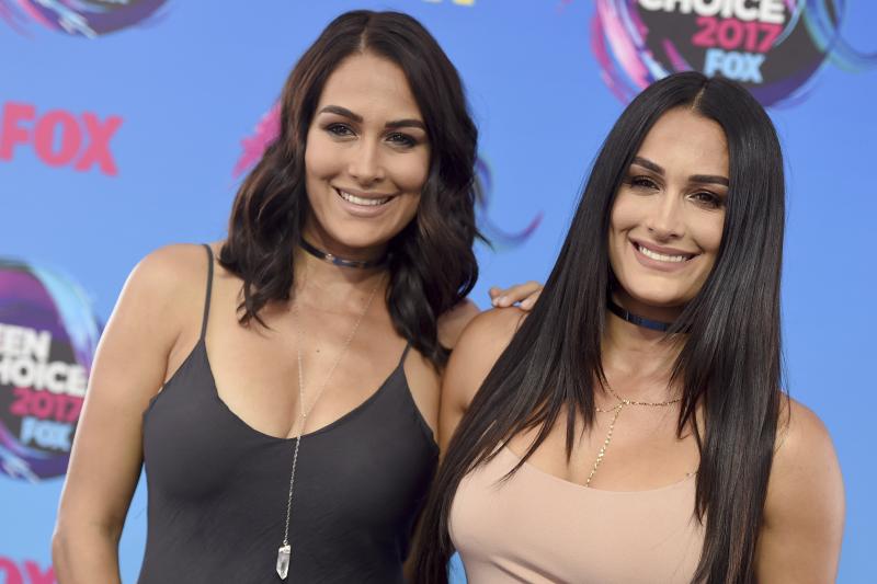 Wrestling Icons Brie And Nikki Bella