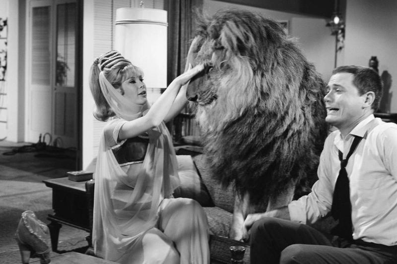 Barbara Eden Got Along With The Lion