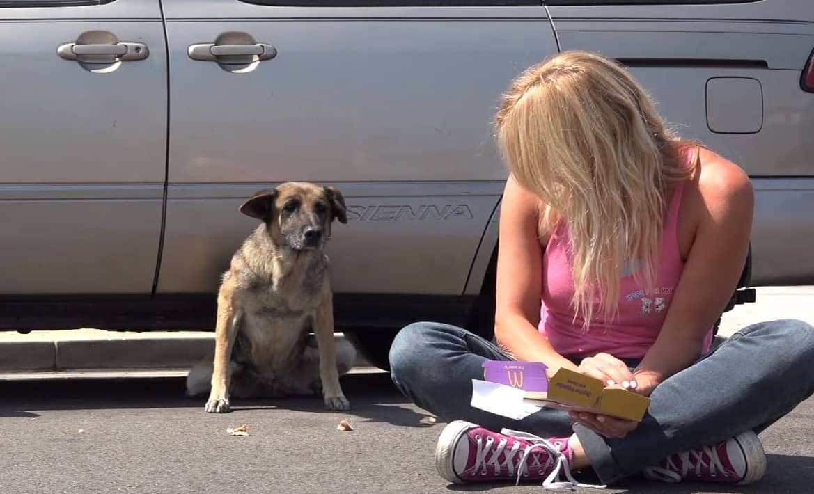 Cheeseburger As A Bribe