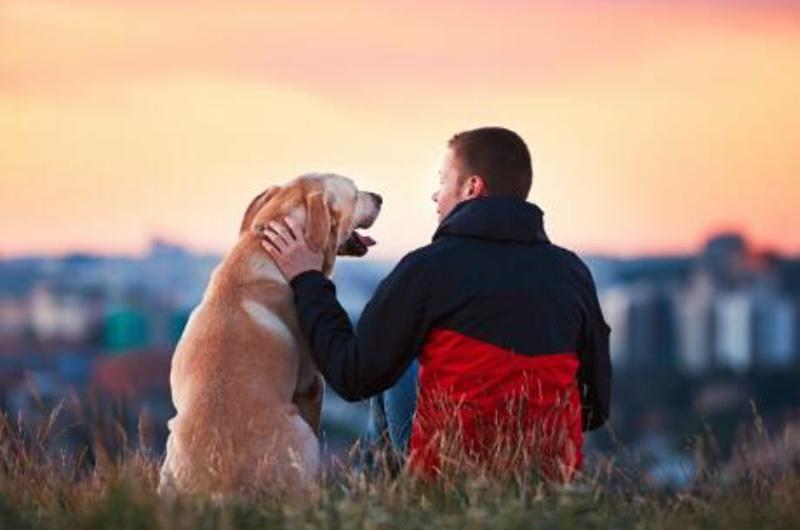 Getting To Know His Dog