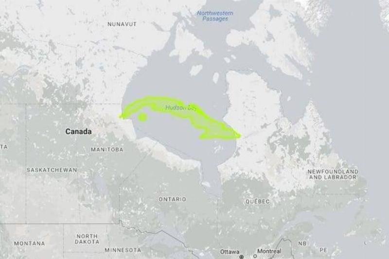 Cuba Is Much Smaller Than The Hudson Bay