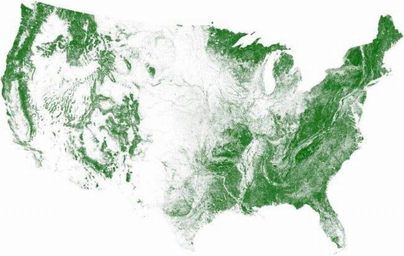 There Is More Farmland Than Trees In Middle America