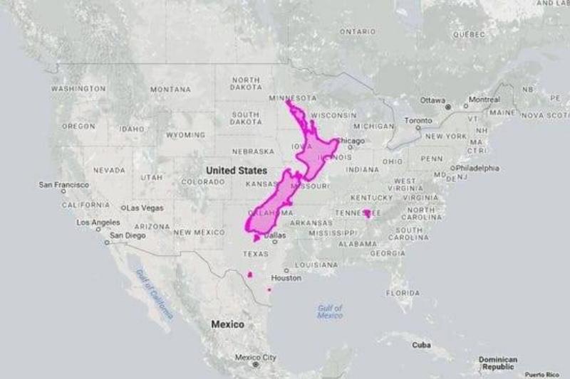 The United States Is Gigantic Compared To New Zealand