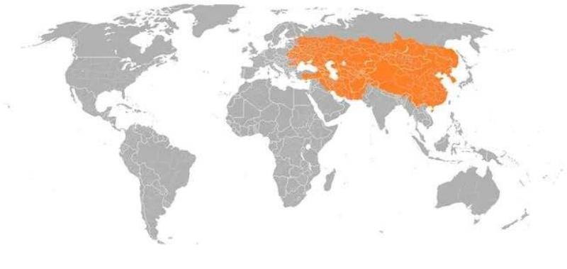 The Extent Of The Mongolian Empire In 1279