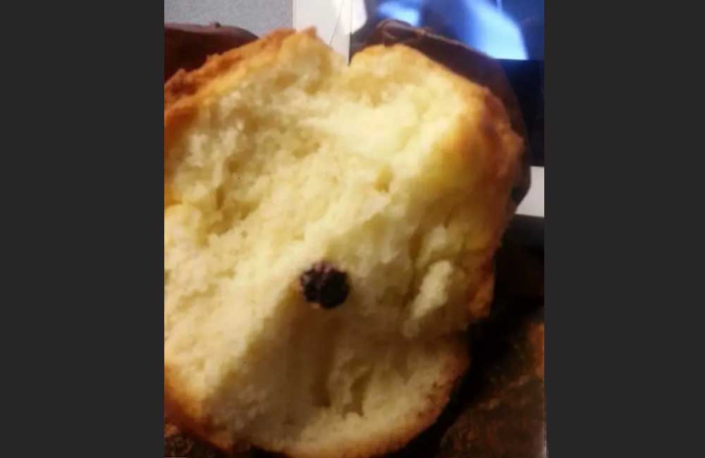 One Blueberry Muffin