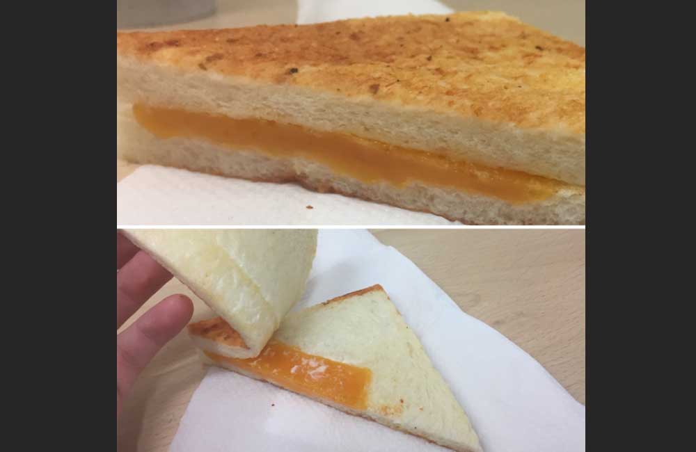 A Grilled Cheese Sandwich