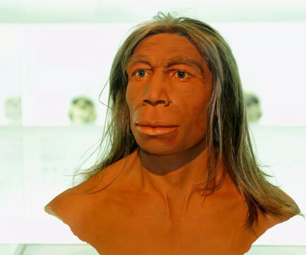 Homo Heidelbergensis