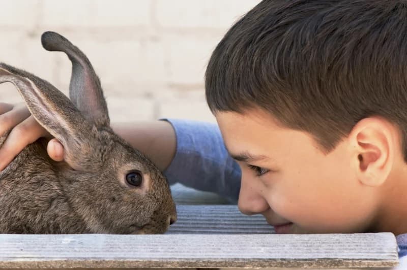 They Called Him Rabbit Boy