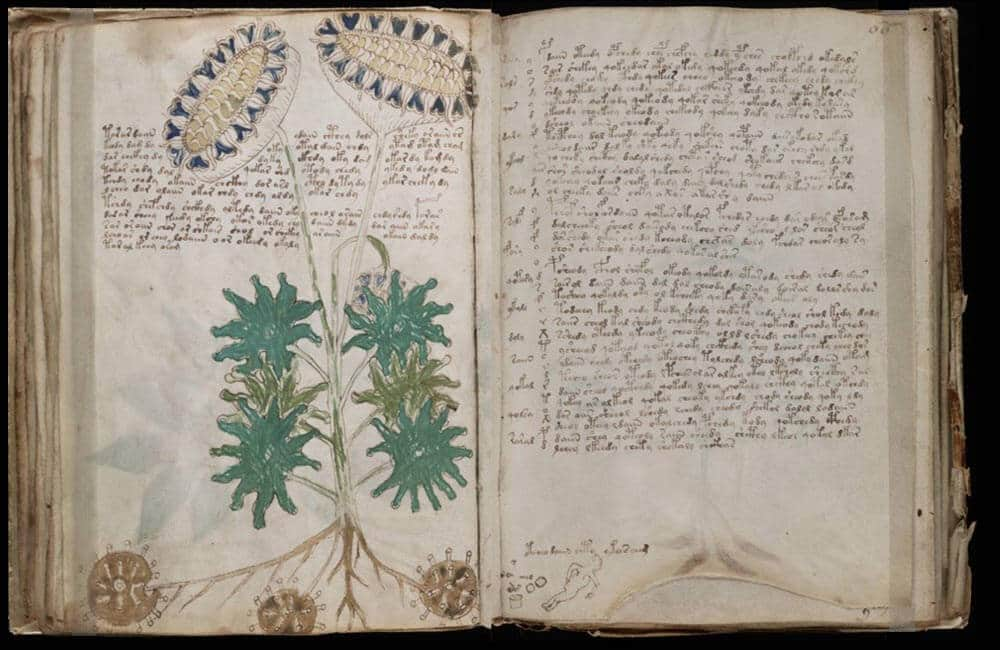 Voynich Manuscript