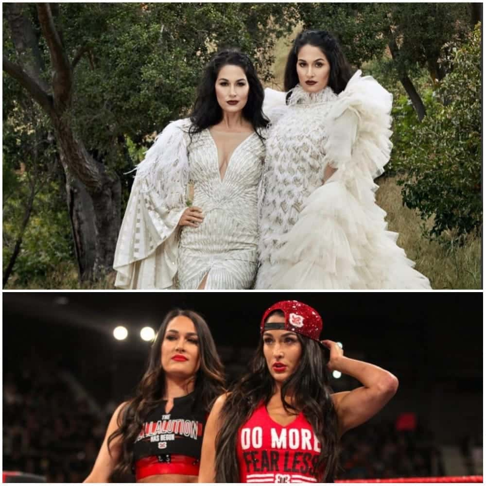 Brie & Nikki Bella