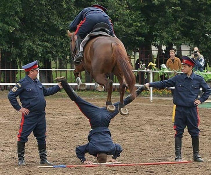 Trusting The Horse Too Much
