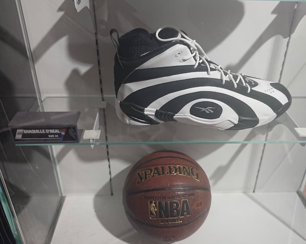 Shaquille O’Neal’s Shoe Size Vs. Basketball