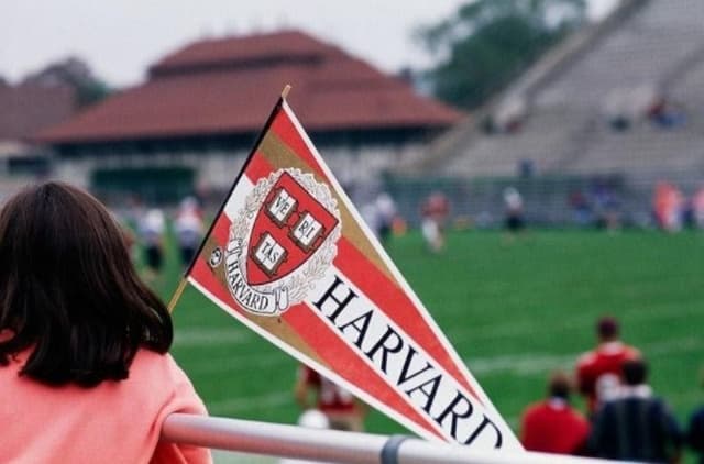 Vintage College Pennants