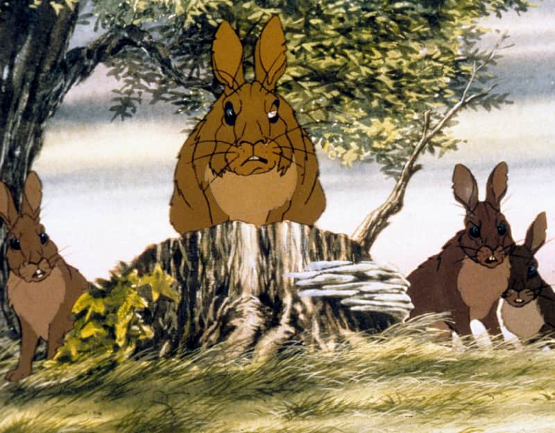 Watership Down Scared Kids