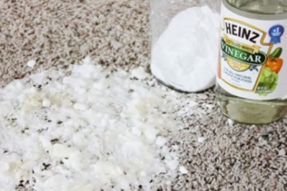 Get Rid Of Carpet Stains