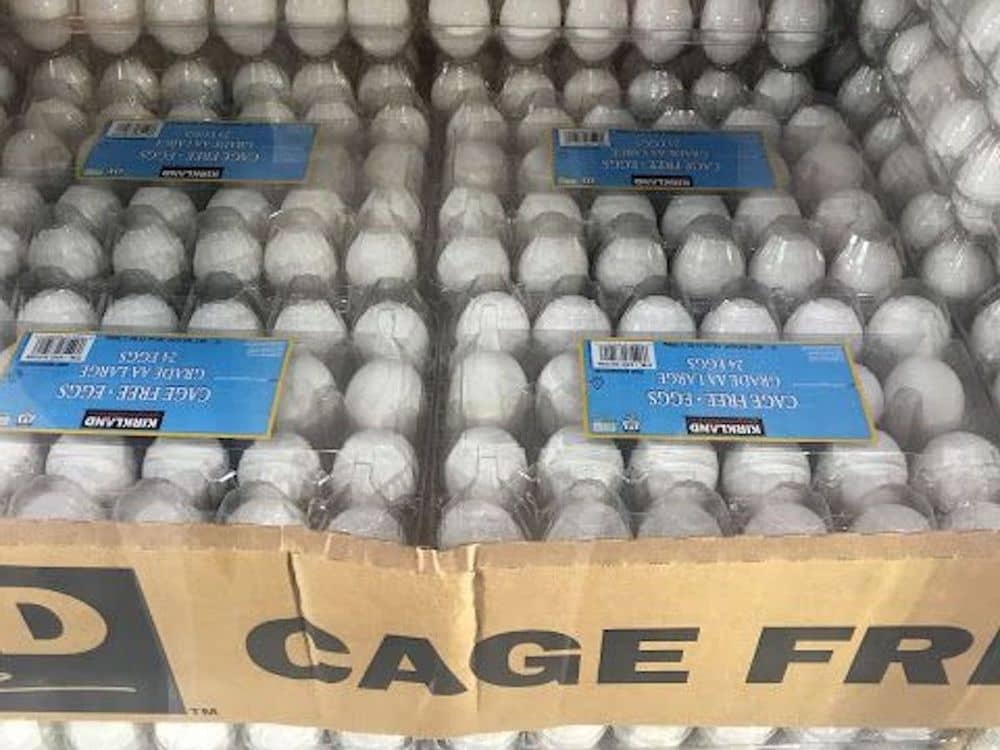 Non Cage Free Eggs