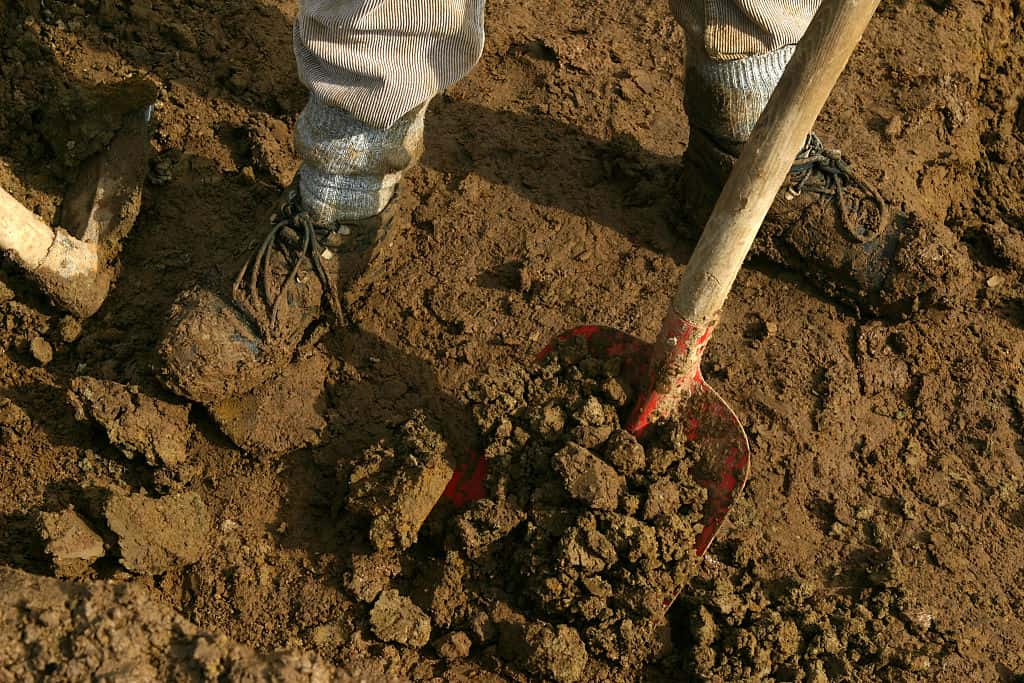 DEU, Germany, Dortmund, Archaeology. Here: Excavating Works