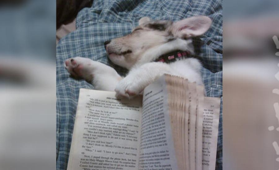 Helping You Read In His Sleep