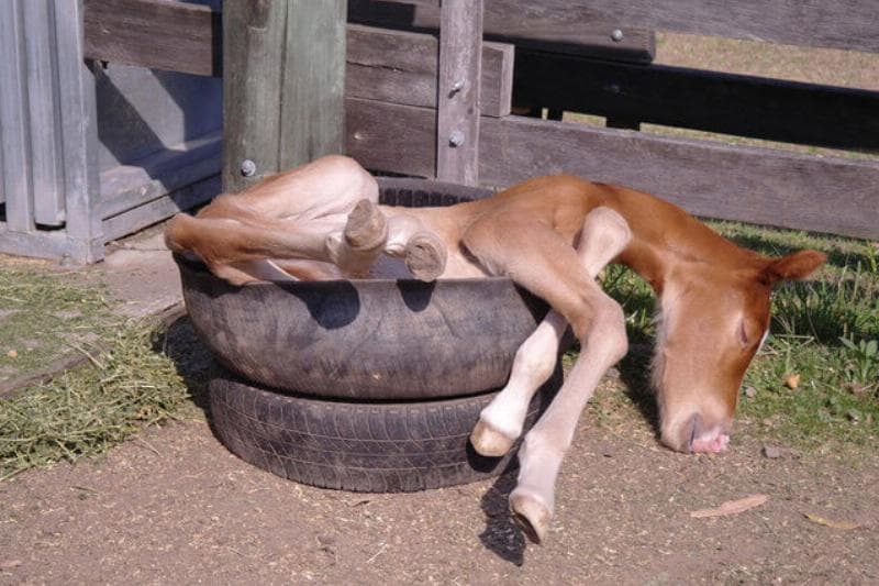 A Bed Made Out Of Rubber